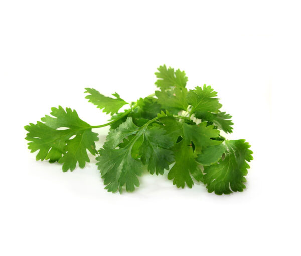 Coriander Leaves