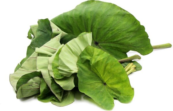 Taro Leaves