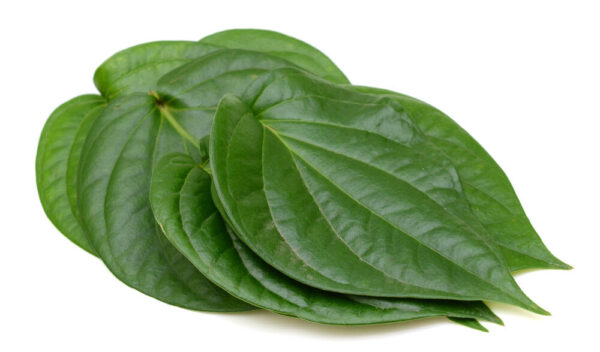 Betel Leaves