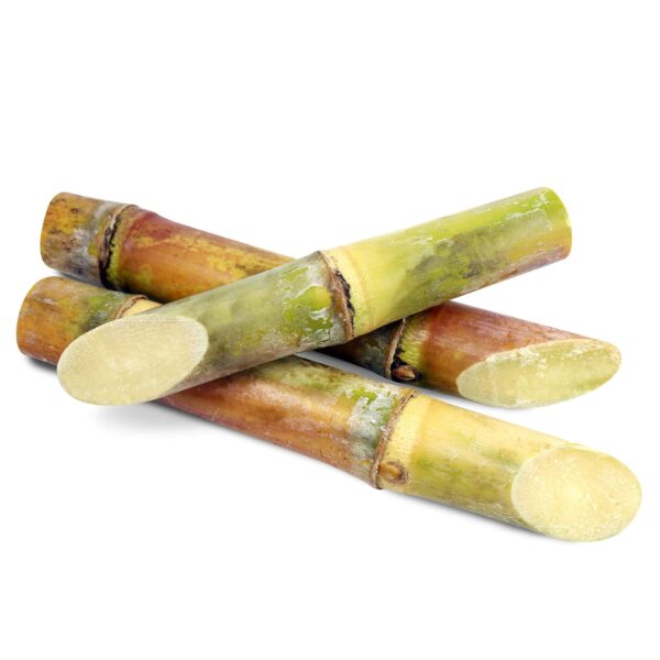 Sugarcane