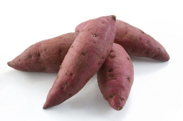 Sweet Potato