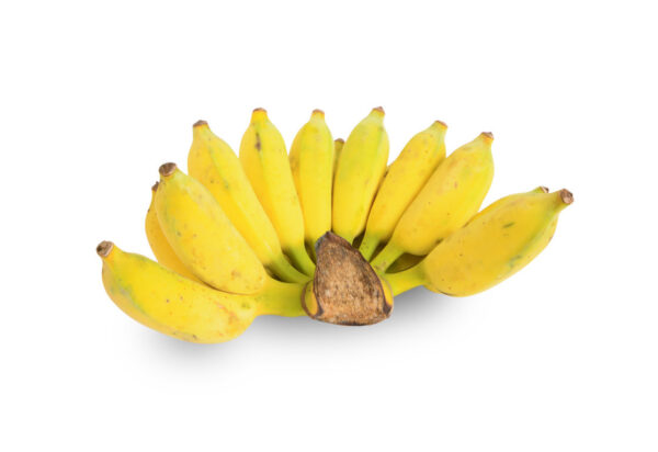 Sugar Banana