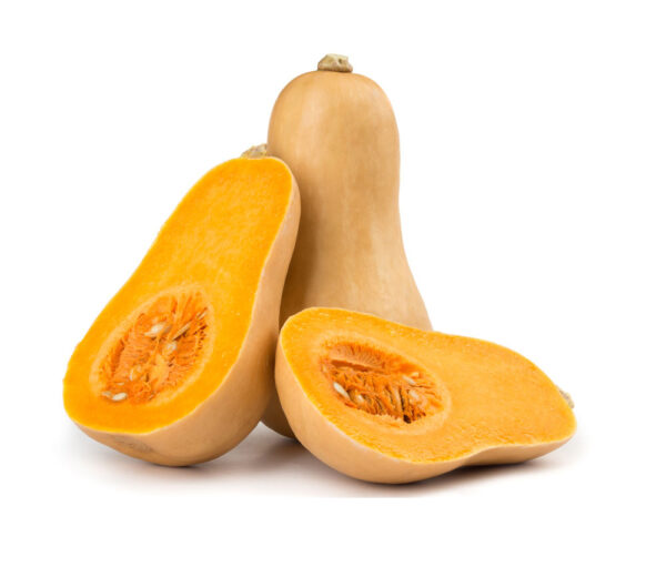 Butternut Squash