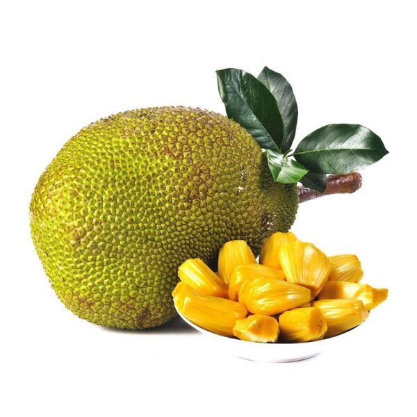 Jackfruit