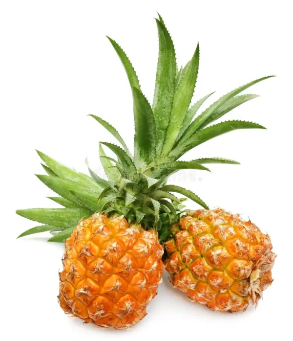 Queen Pineapple