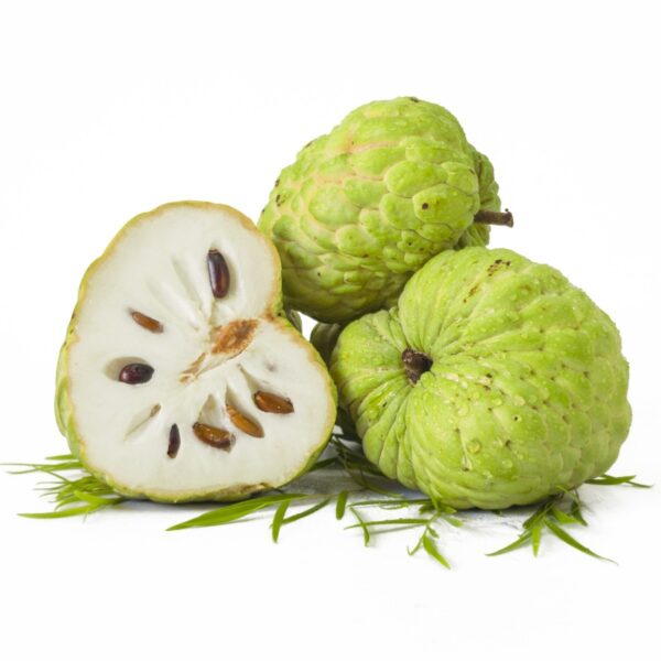 Custard Apple